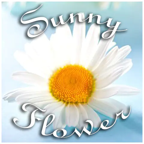 Sunny Flower Logo